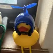 こはるんの画像
