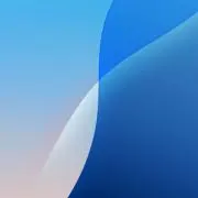 カラ猿