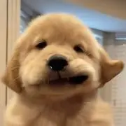 まる