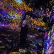 P0Nの画像