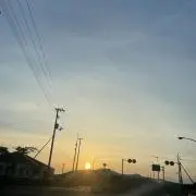 ヨッシーの画像