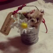 きょ☆