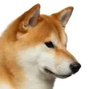 かず