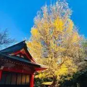 ☆め☆の画像