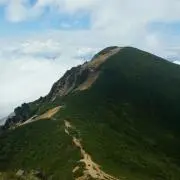 モトの画像