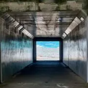 YMの画像