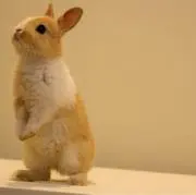 ⭐︎yuki⭐︎断捨離中⭐︎の画像
