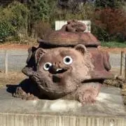 たぬき山の画像