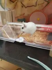 てるきの画像