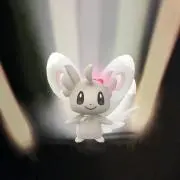 hiwahiwaの画像