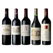 Vino123の画像