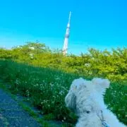 milmilの画像