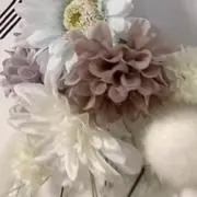 Rocoの画像