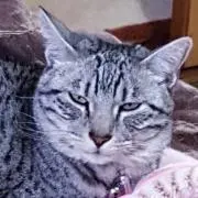 聖実の画像