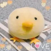 のんちゃんの画像