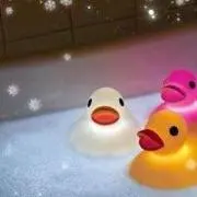 tomoの画像