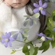 しろの画像