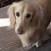 ☆☆☆の画像