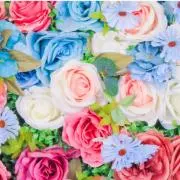 mmmi☆即購入歓迎の画像
