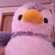 ぺんたごんの画像