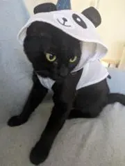JJの画像