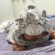 ひまわりの画像