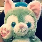 サカサヤの画像