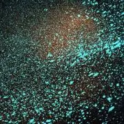 mint  ＊断捨離中＊の画像