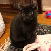 ★LUNA★