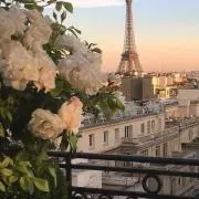 roseの画像