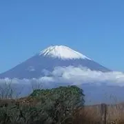 ☆うにちゃん☆