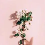 りの画像
