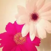 むぐら