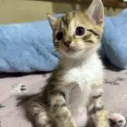 前世ナメクジ
