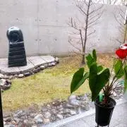 ゆきだるまの画像