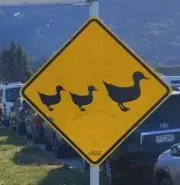 まるともの画像