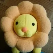 さちの画像
