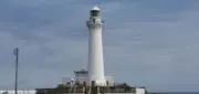 ずんだの画像