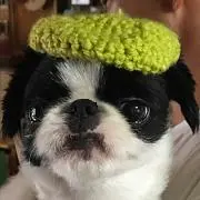 あやっち(プロフご覧下さい)