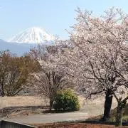 saa0202の画像