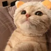 ☆