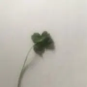 ア（プロフィールのご確認）の画像