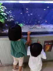 mariの画像