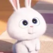 ゆり