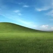 000..の画像