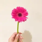 m❤︎