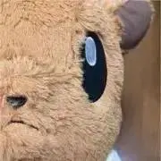 EUIC 2026 メガリザードンY パーカー XLサイズ - メルカリ