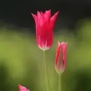 めいちゃ　プロフお読みください！の画像