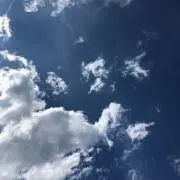うりの画像