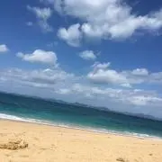 粋の画像